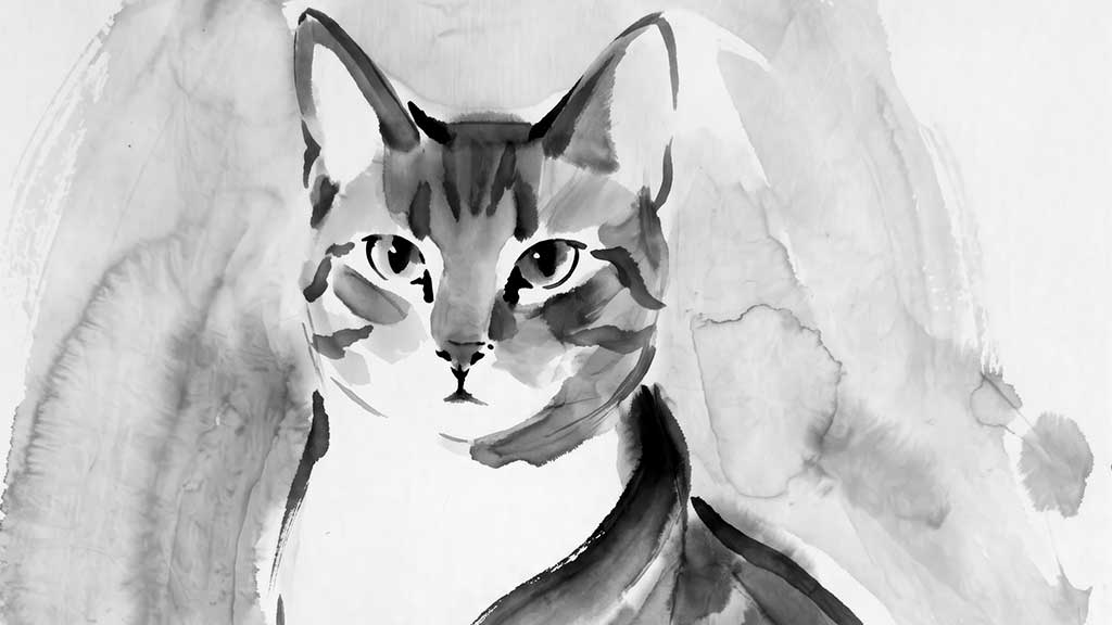 Classe de tinta xina